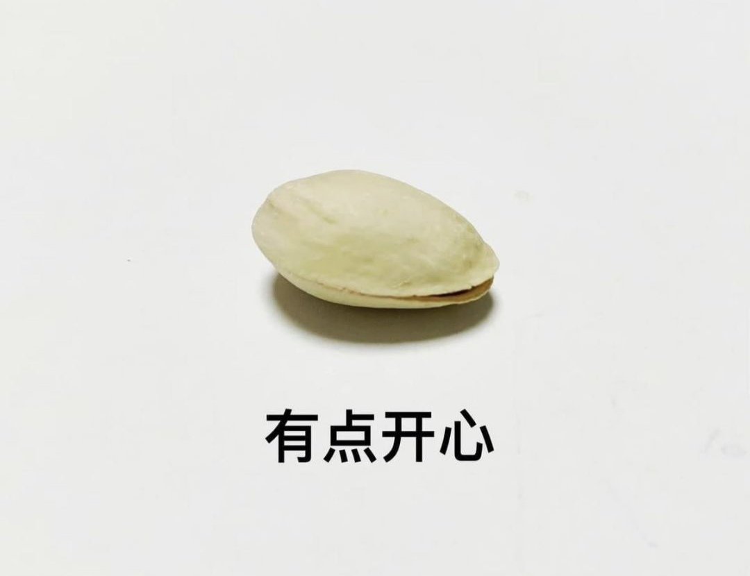 请选择你的开心果2