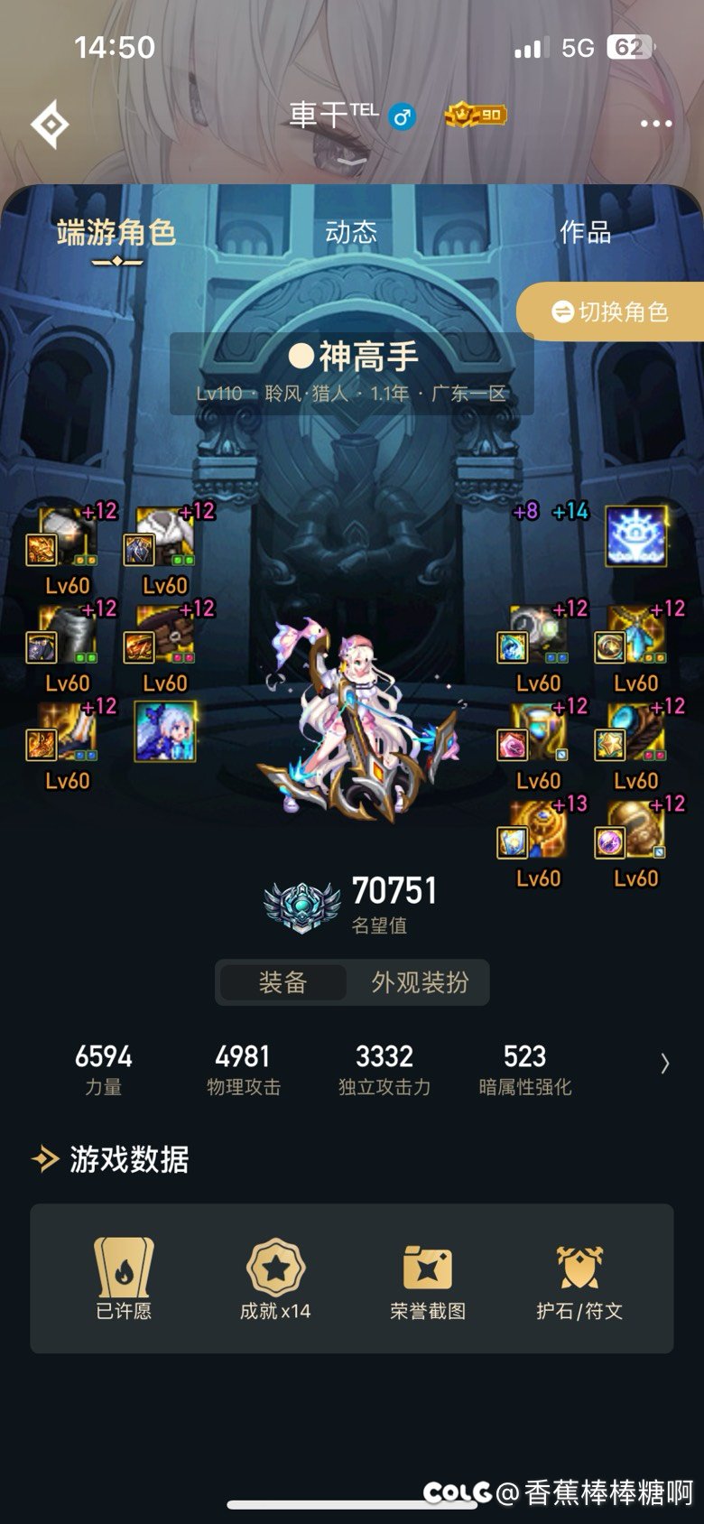 猎人的武器装扮1