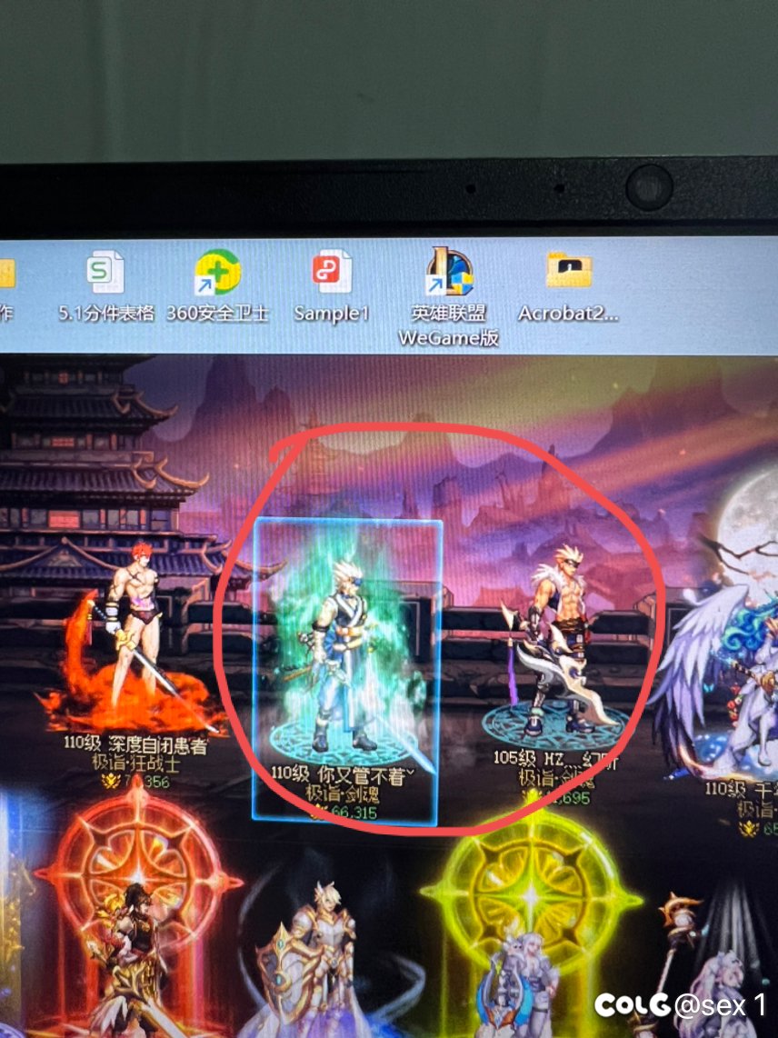 为什么我两个剑魂的模型不一样啊？1