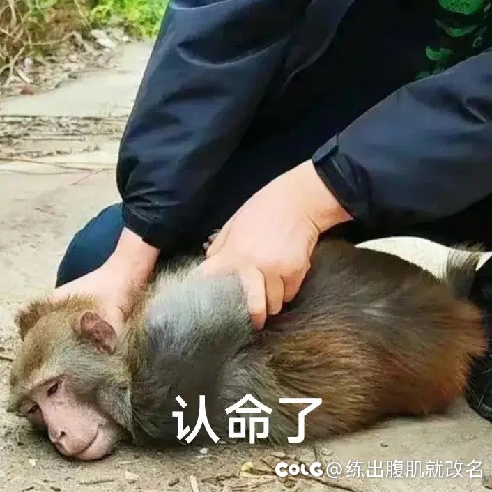 最近搁床上打滚太爽了1