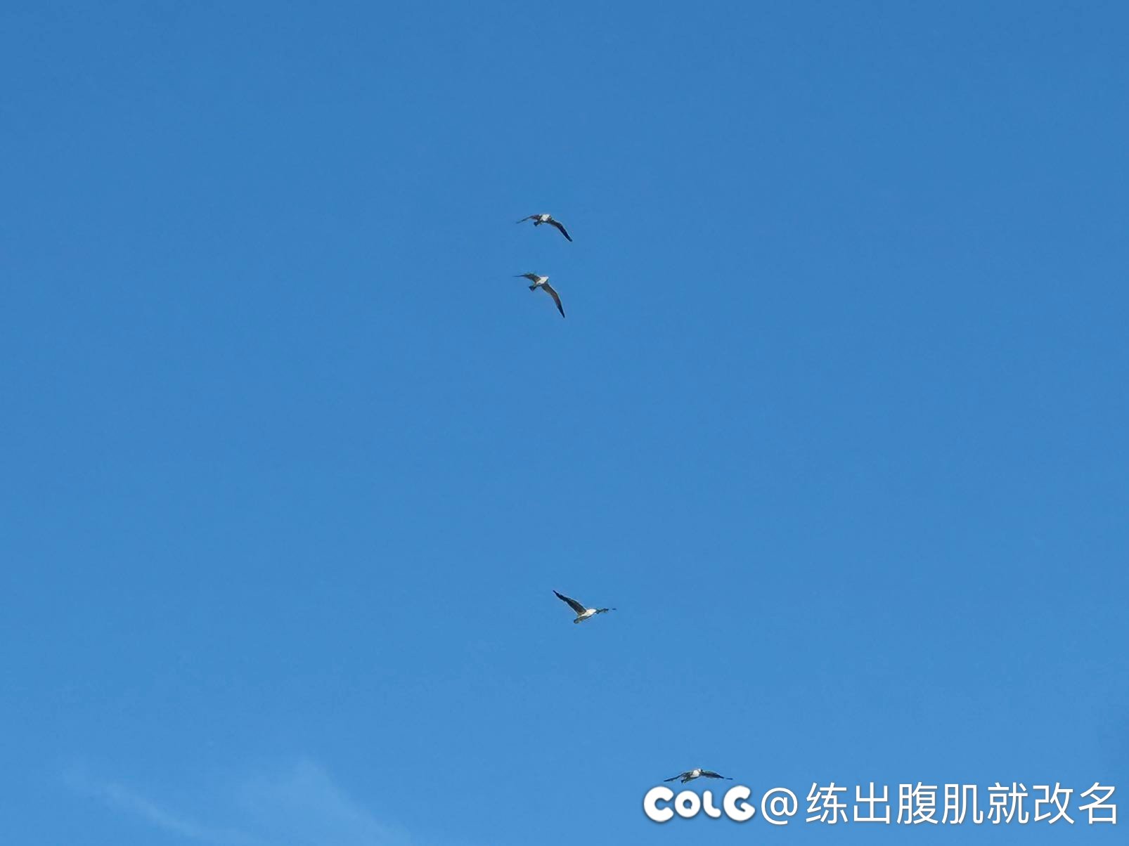 出去玩啦2