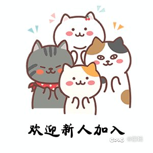 跨六高配流水微信群1