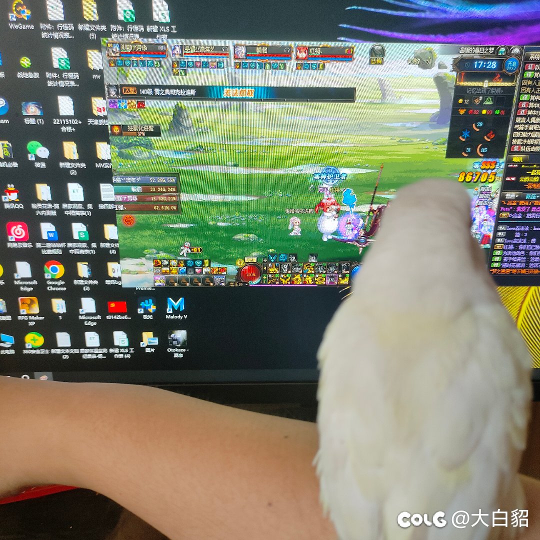 鹦鹉都学会机制了，为什么有些人还不会1