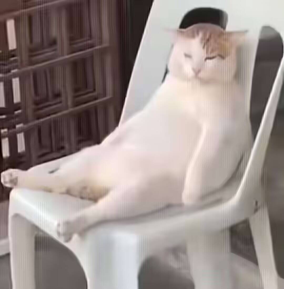 变🐖记：太热了，做卤菜凉拌吃3