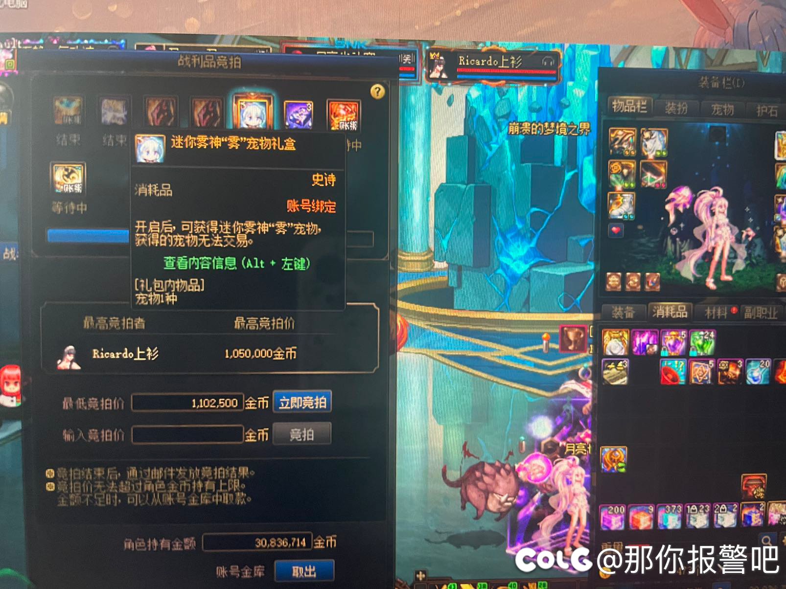 今天雾神出了背景 又出了一次宠物2