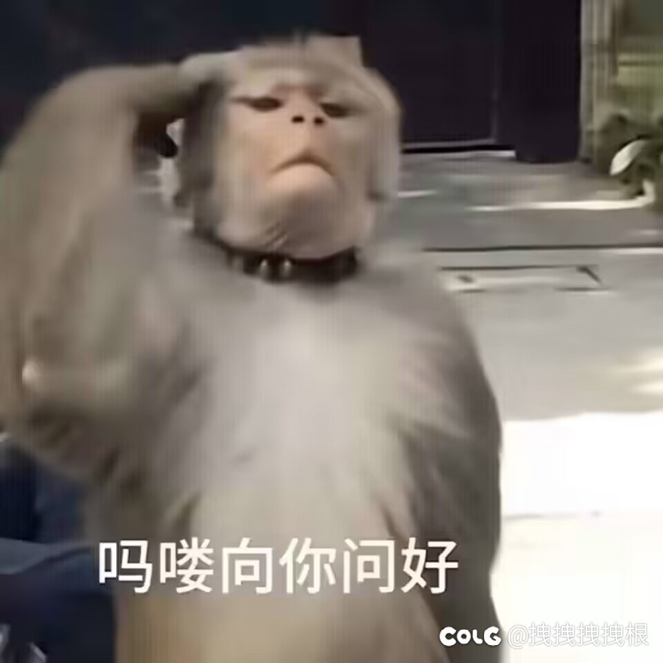 还是那句话，菜就多练1