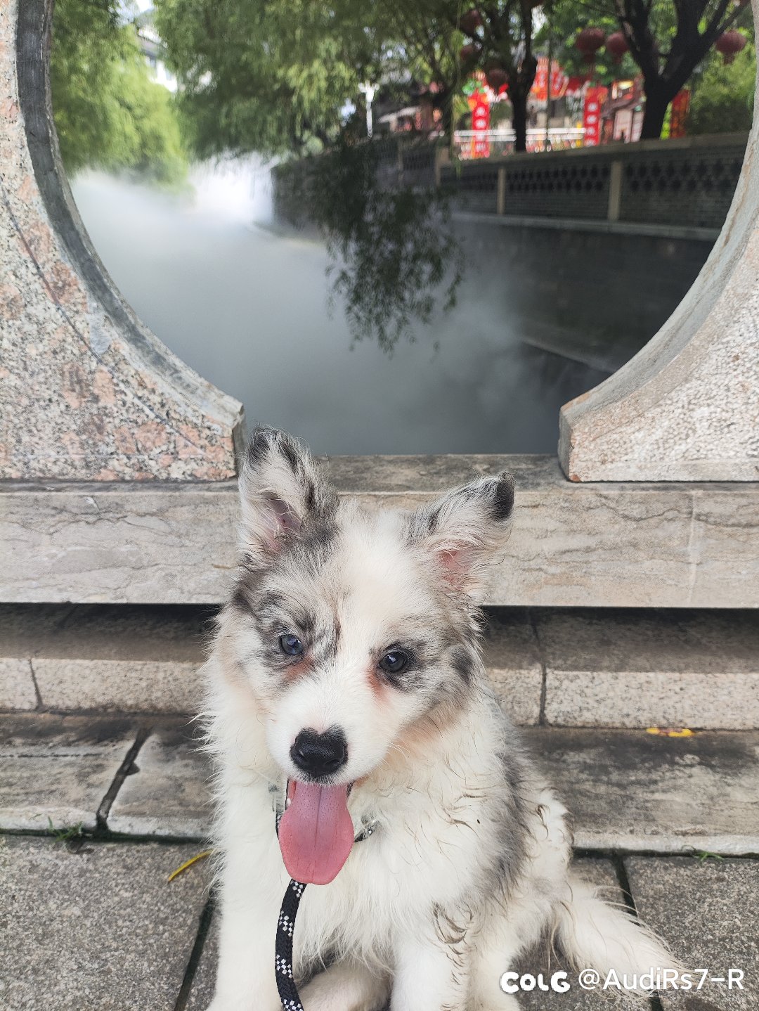 半轮年套可以得到什么？2