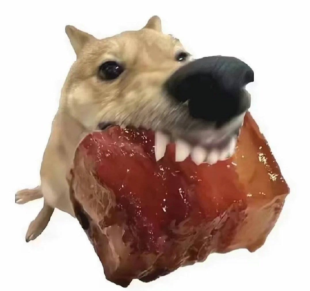 好想买乌龟，好想孵化蛋1