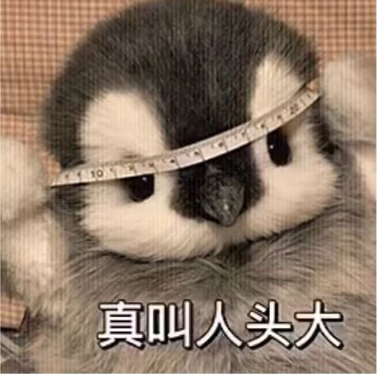 感觉雾毕业了的话应该是能40s到1000e了真的太好啦2