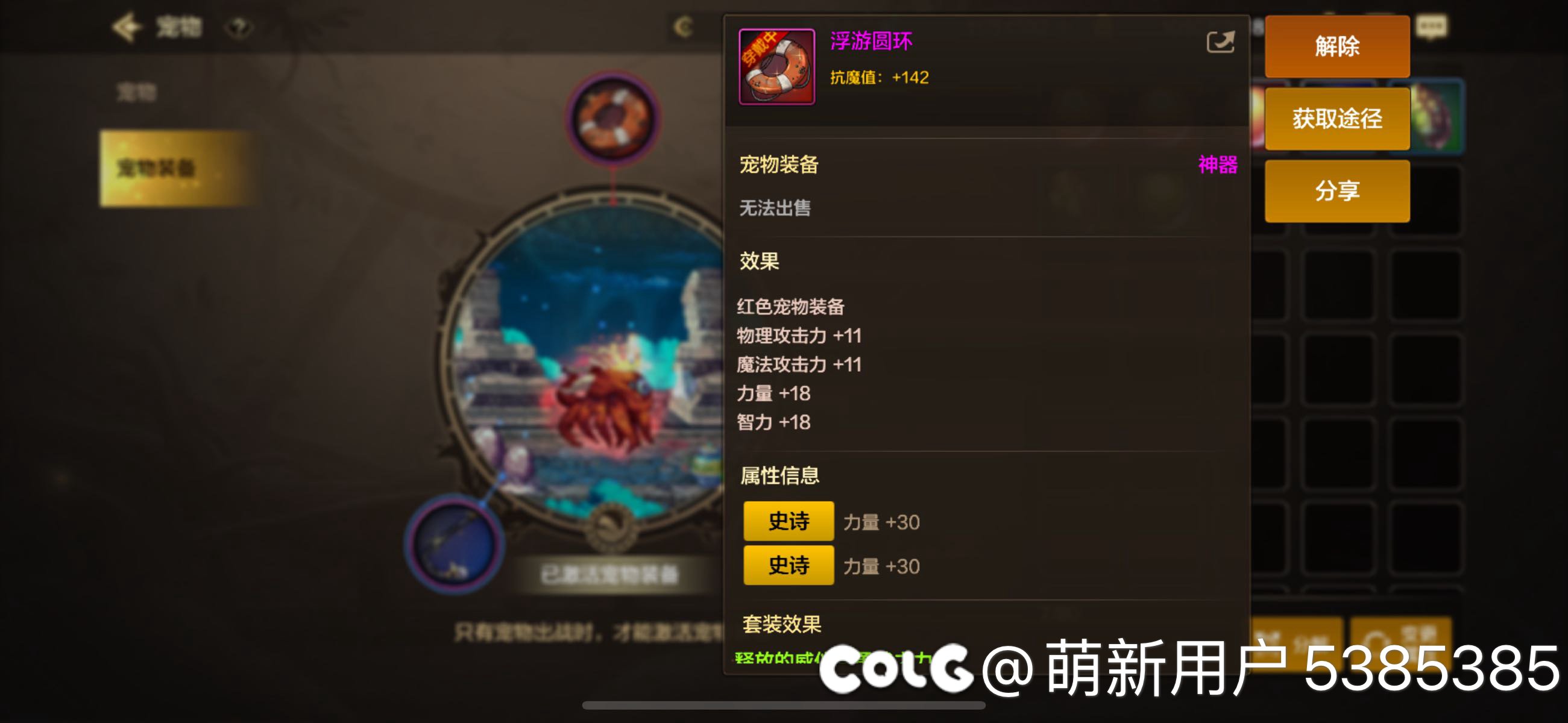 微氪这样的宠物装备算平均水平了不1