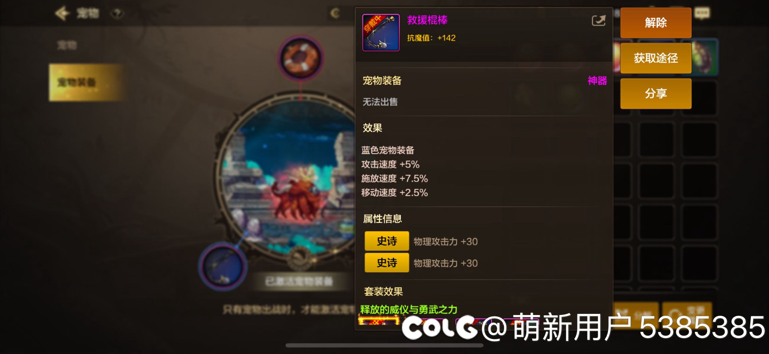 微氪这样的宠物装备算平均水平了不2