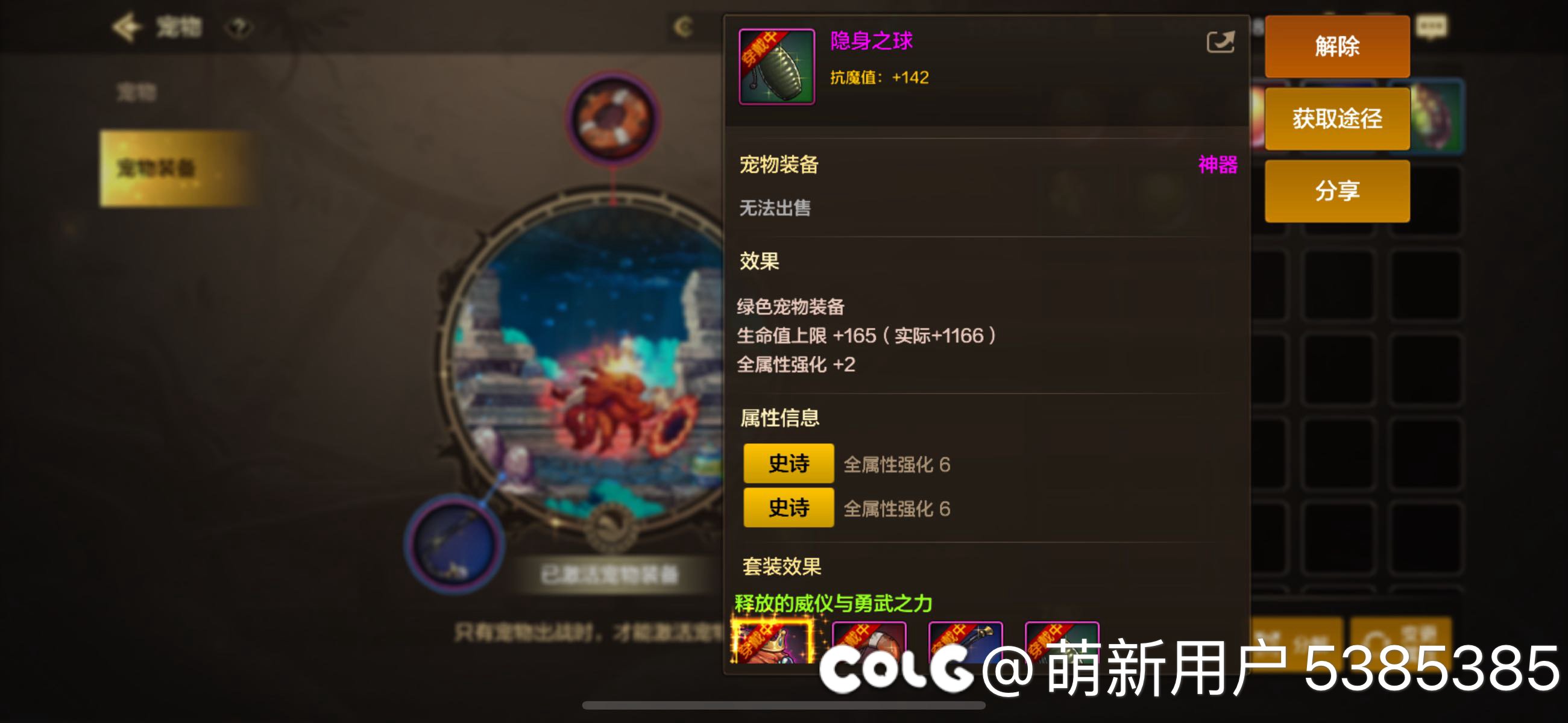 微氪这样的宠物装备算平均水平了不3