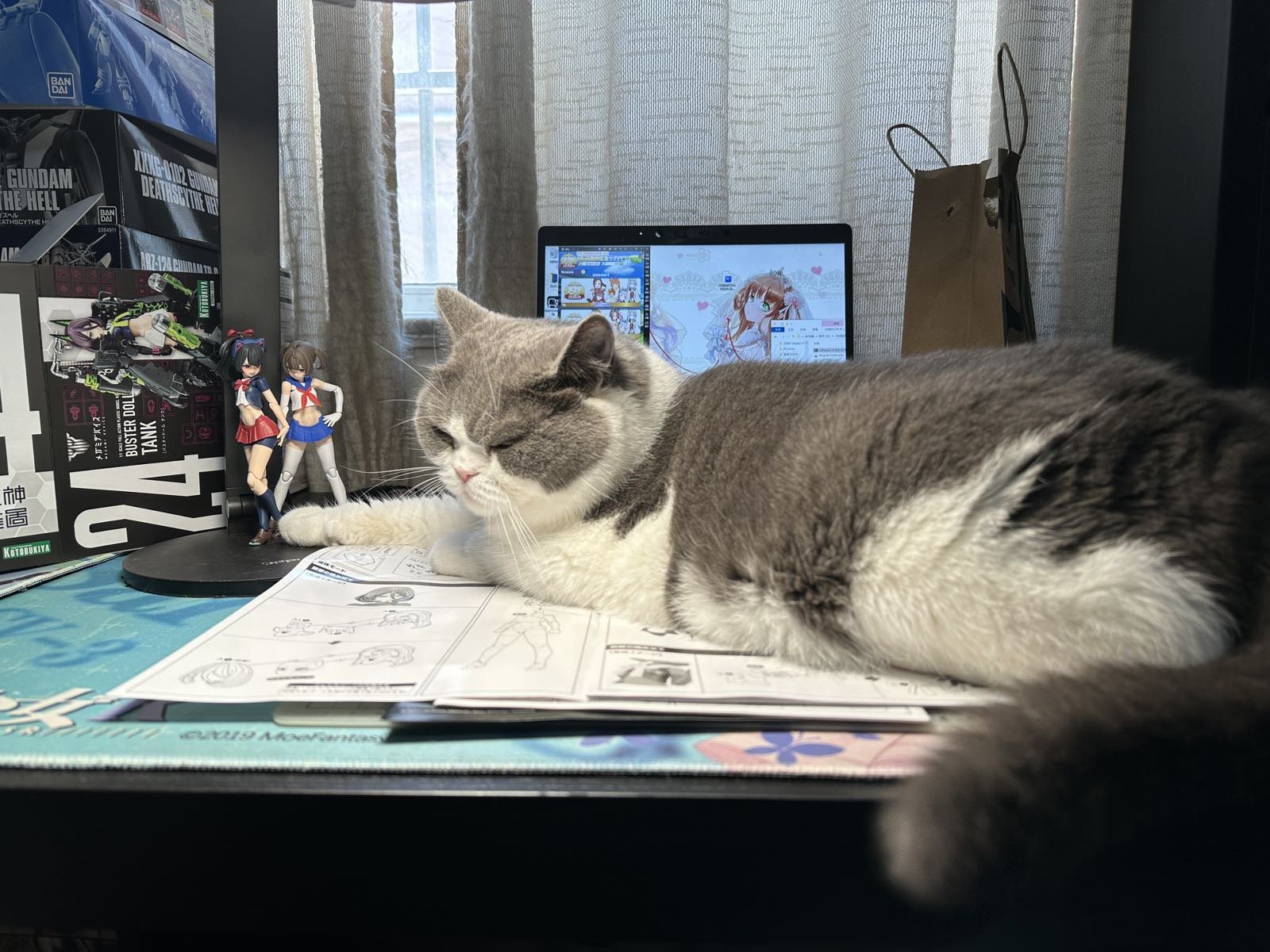 日常吸猫！！！15