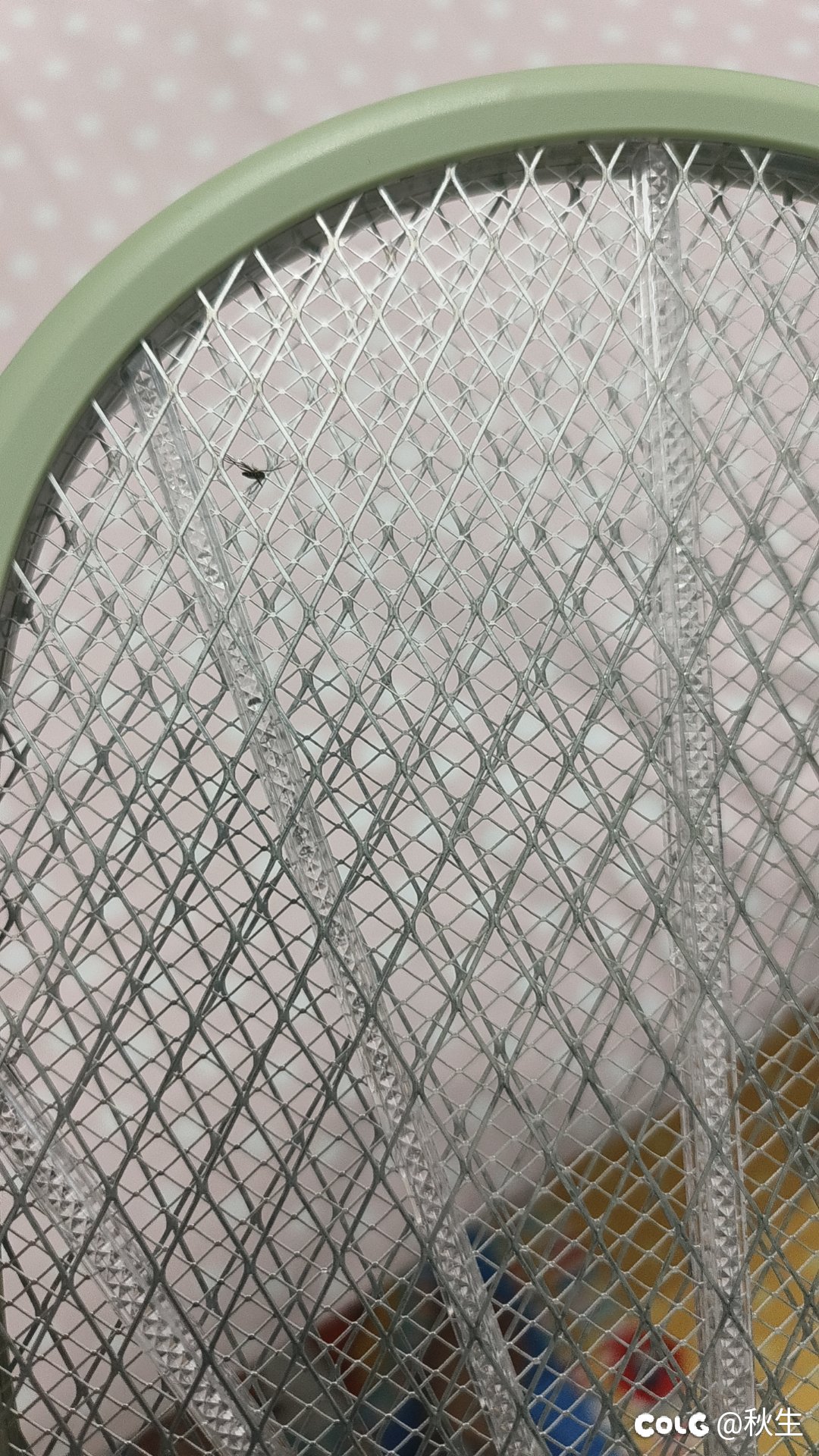 好有成就感！爽！1
