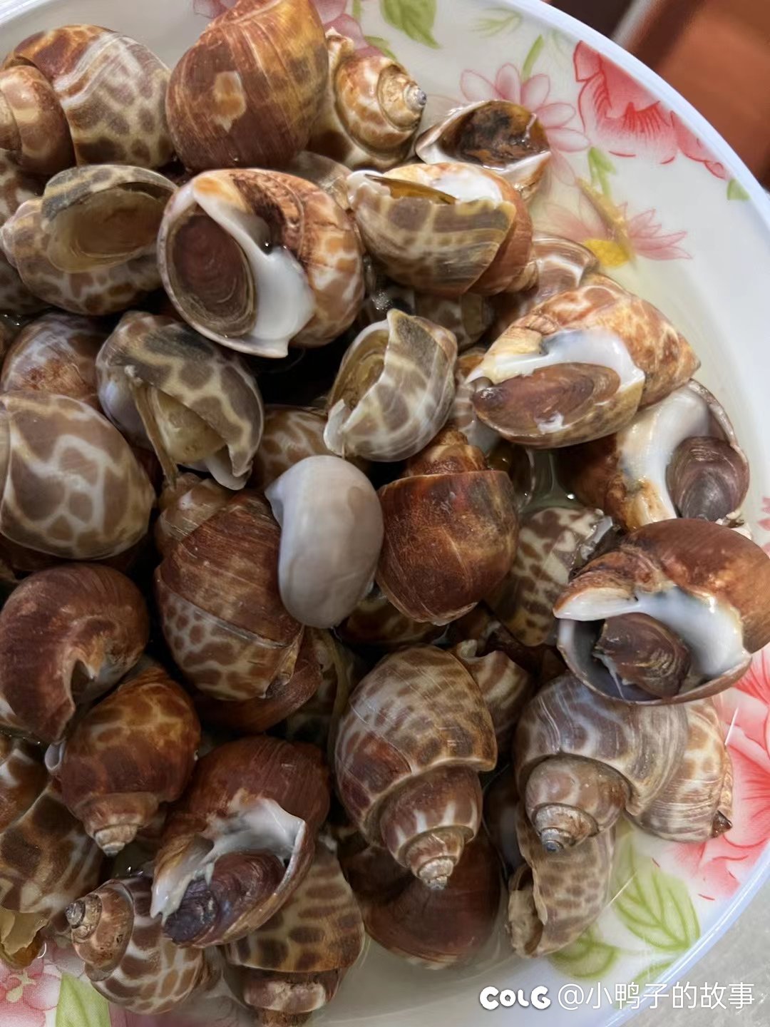 大中午怪不好意思的6