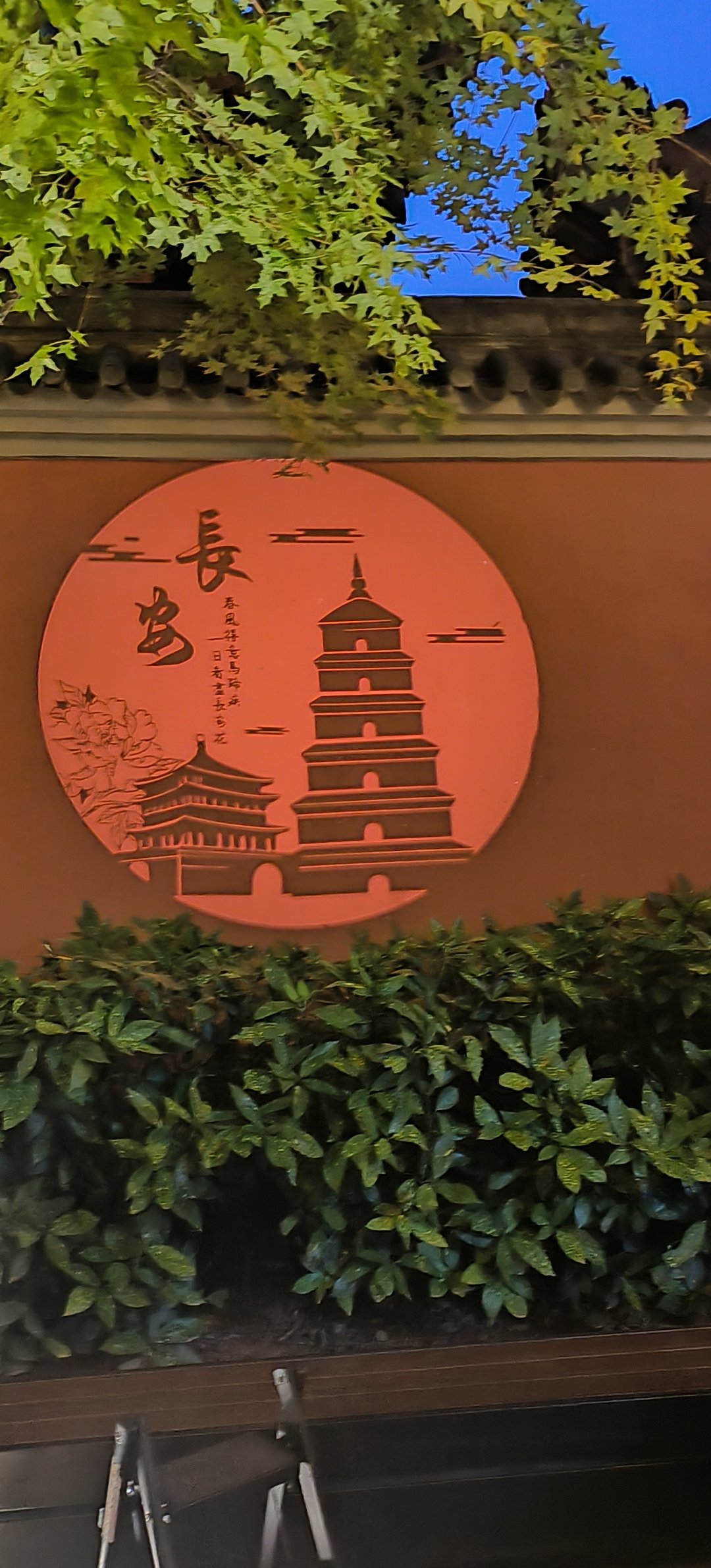 跑西安玩去了9