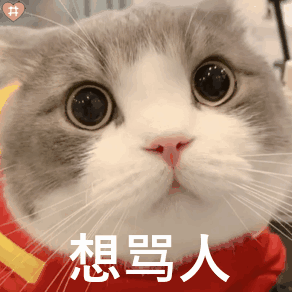 这一等就是两年2