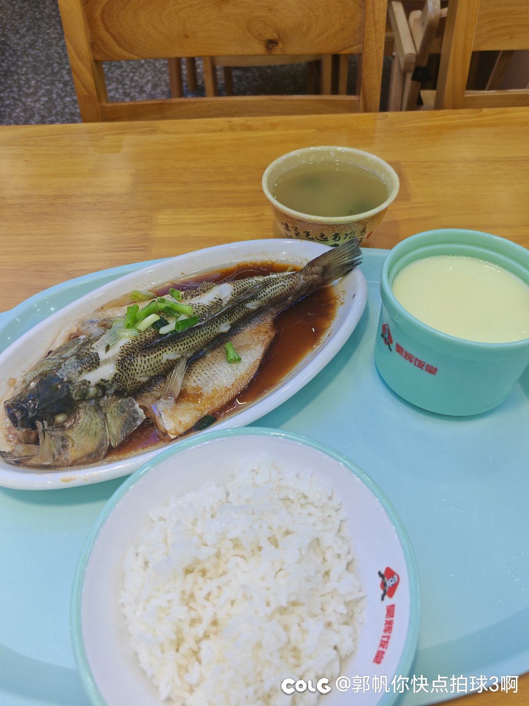 又来减肥了1