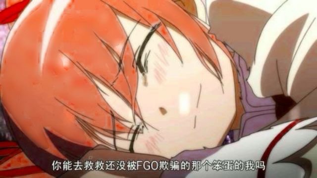你能去救救那个还没被fgo欺骗的那个笨蛋的我吗？1