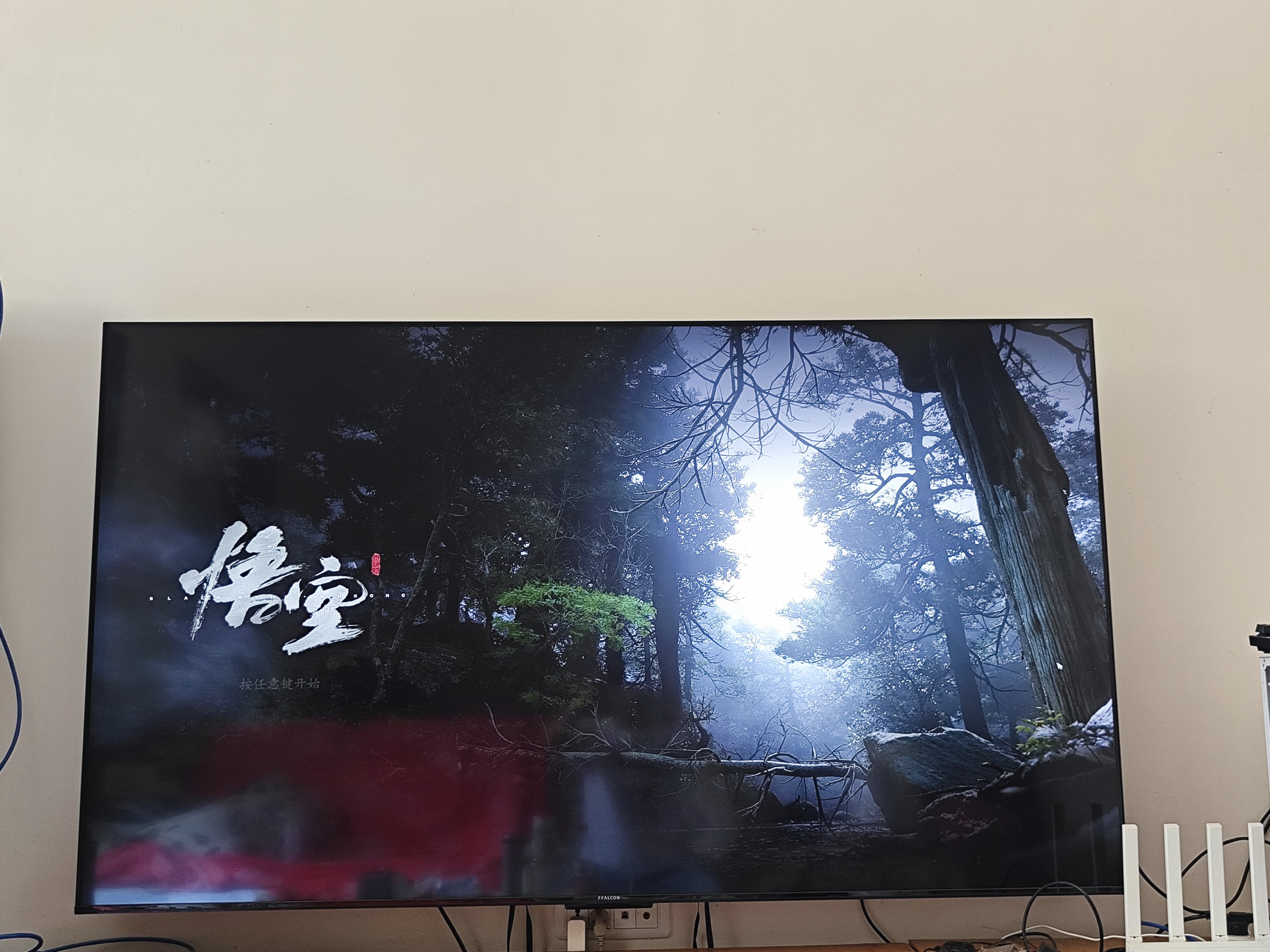 测完辣，可以电视爽斗了5