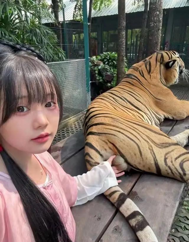 一年了，增幅活动又来了。2