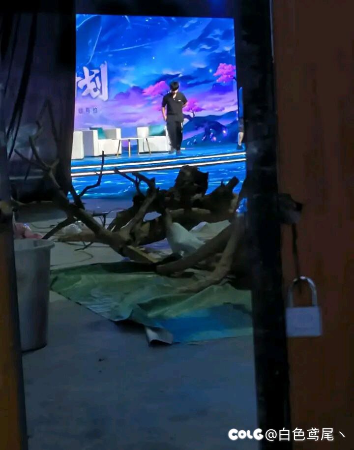 聆心计划已经开始录了哦1