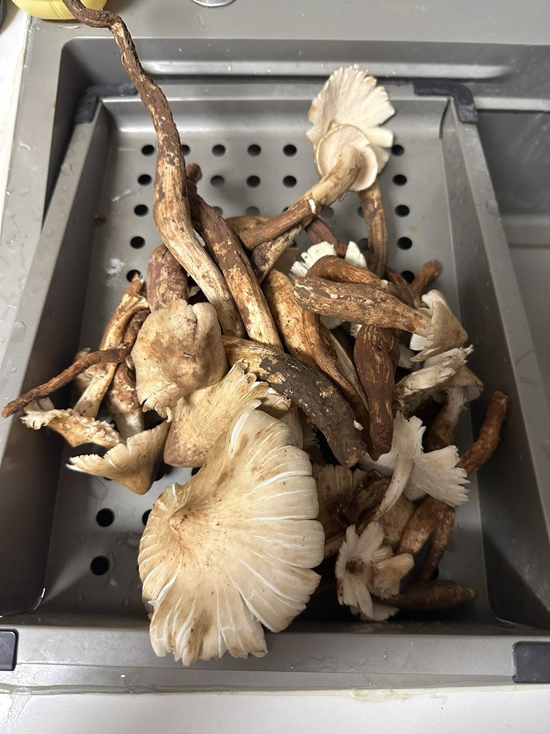外地朋友应该没有吃过吧1