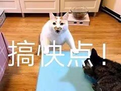 下一半它停了！！！2