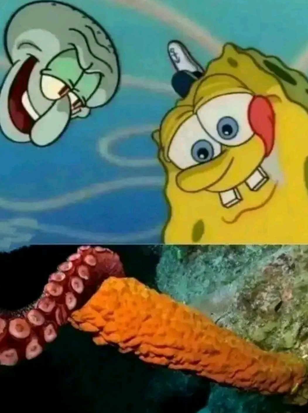 虽然被拉黑了，但有些话我还得说完2