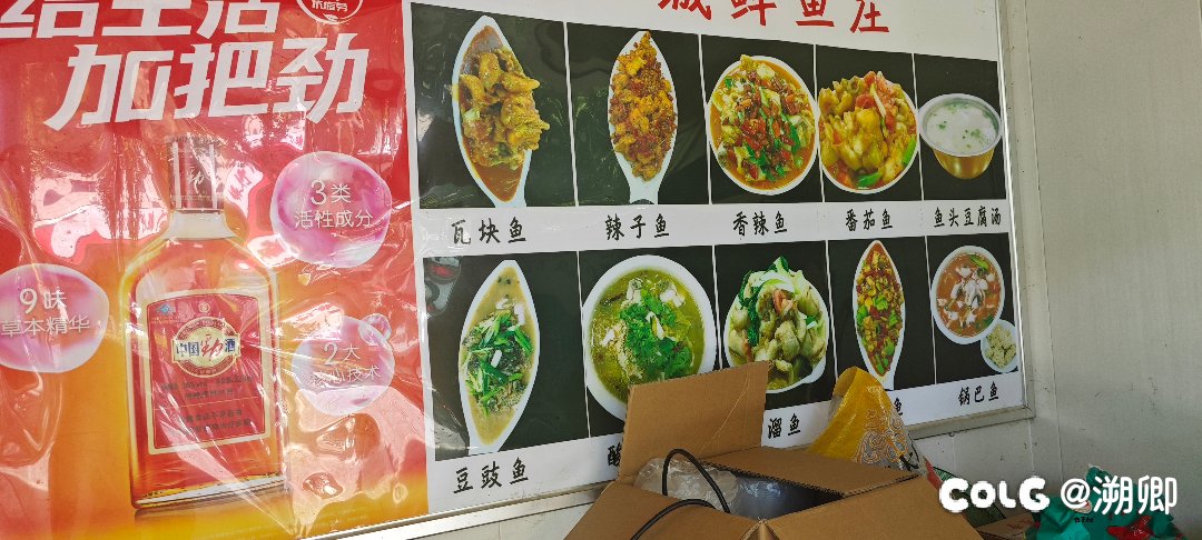 暑假日志2