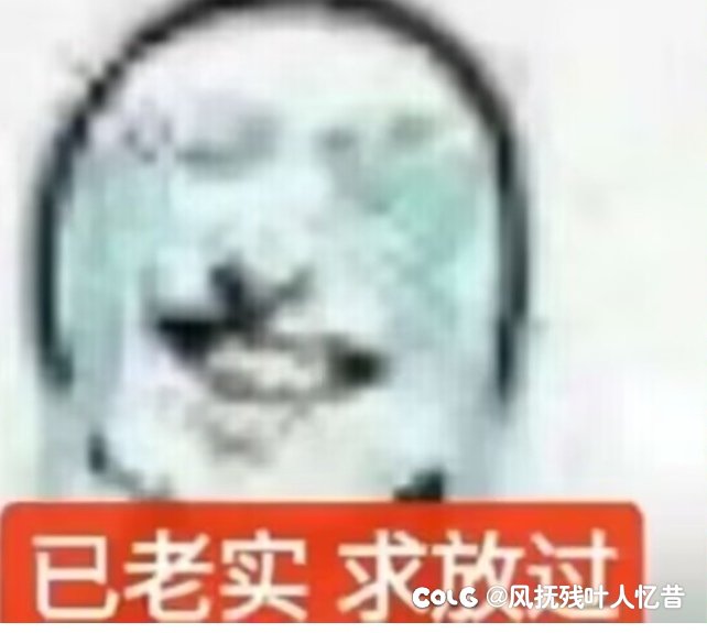 喂不动了2