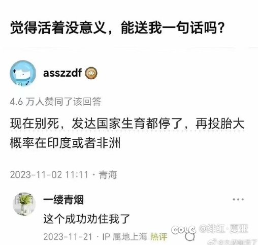有理有据1