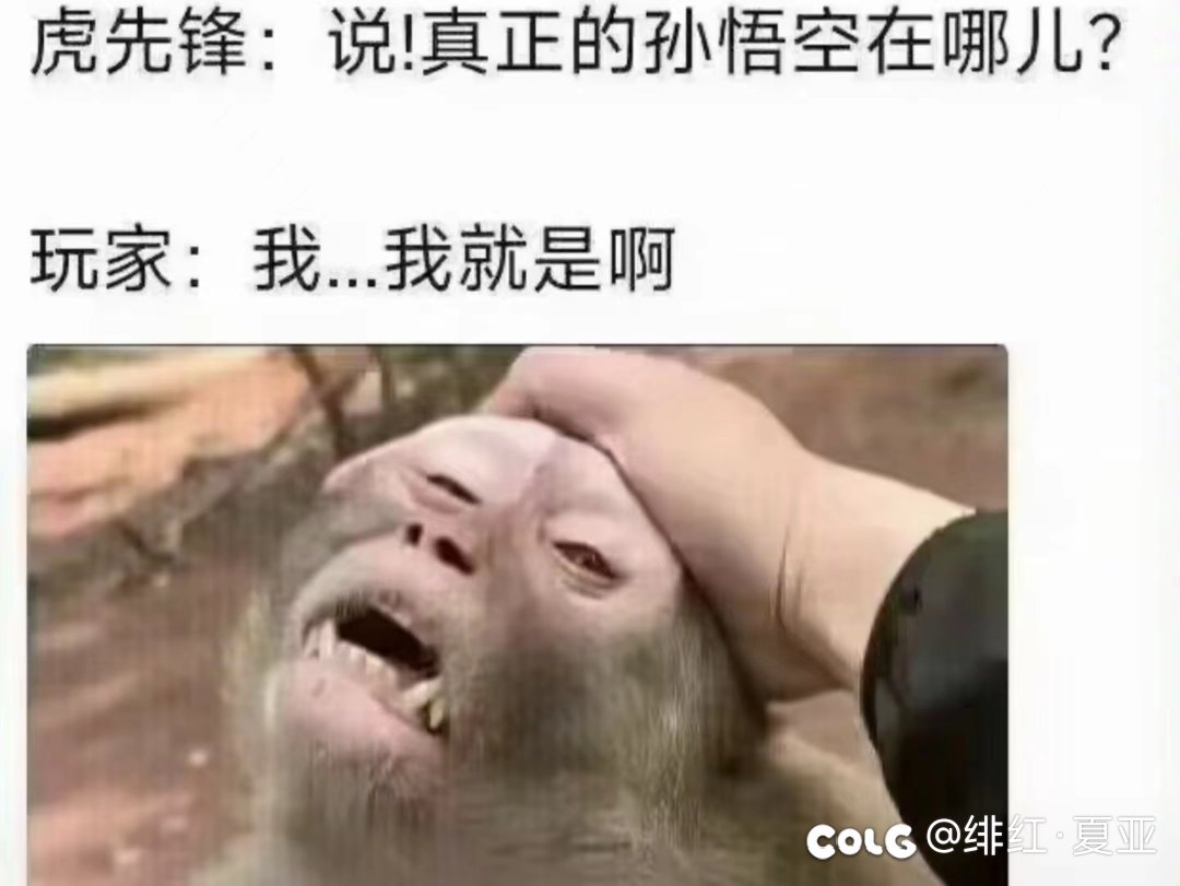 真假孙悟空1