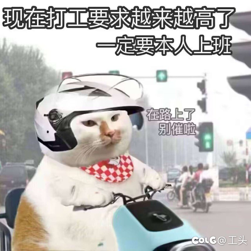 发财我能有60个神55的号1