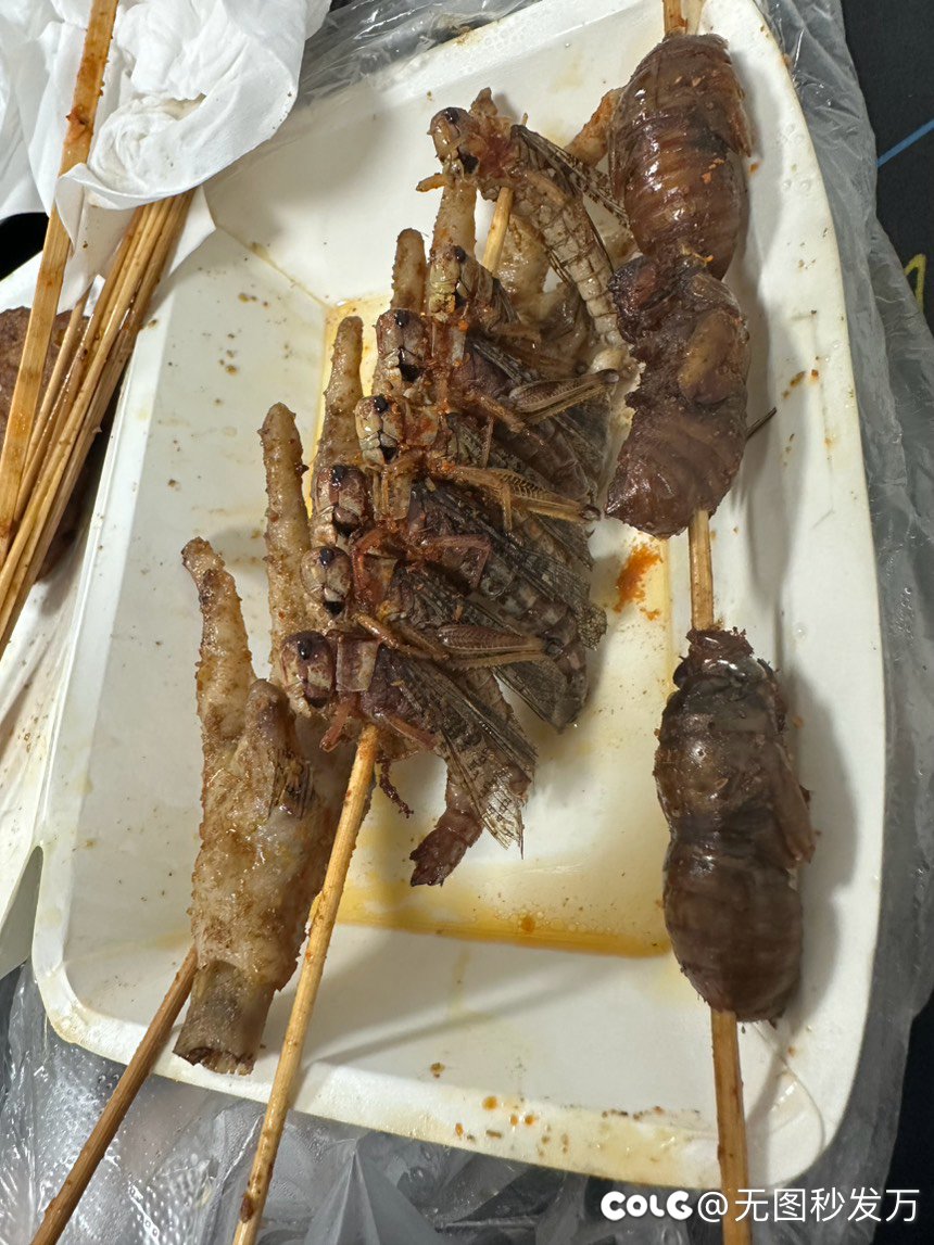 怕怕        .1