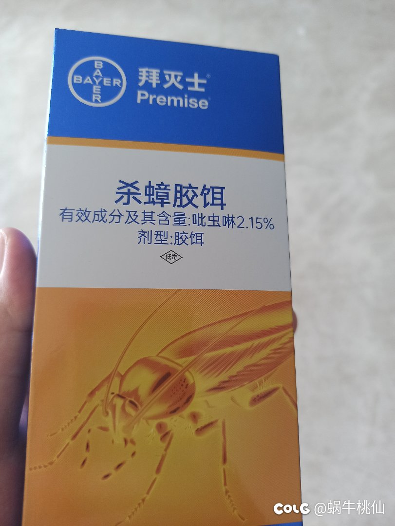 哥哥们的安排已收到1
