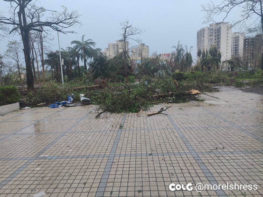 问题来了，我该怎么出门呢1