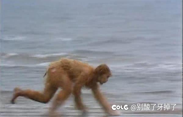 我出来啦1