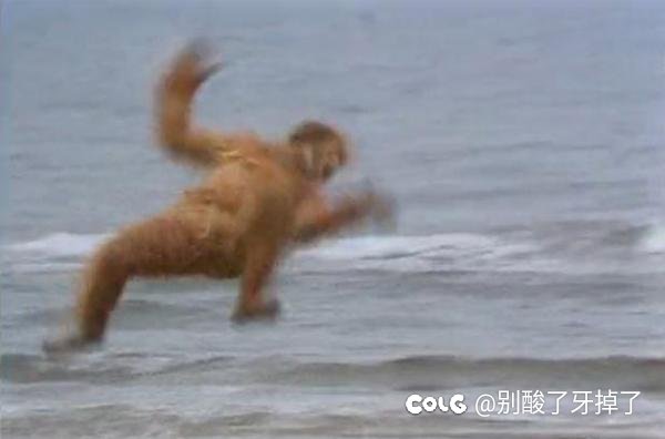 我出来啦3