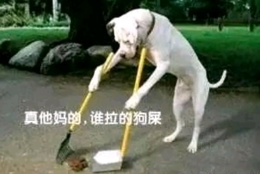 私信给小师妹上压力，好像真看啊5
