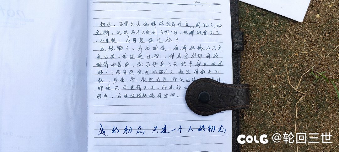 翻到一本舔狗日记2