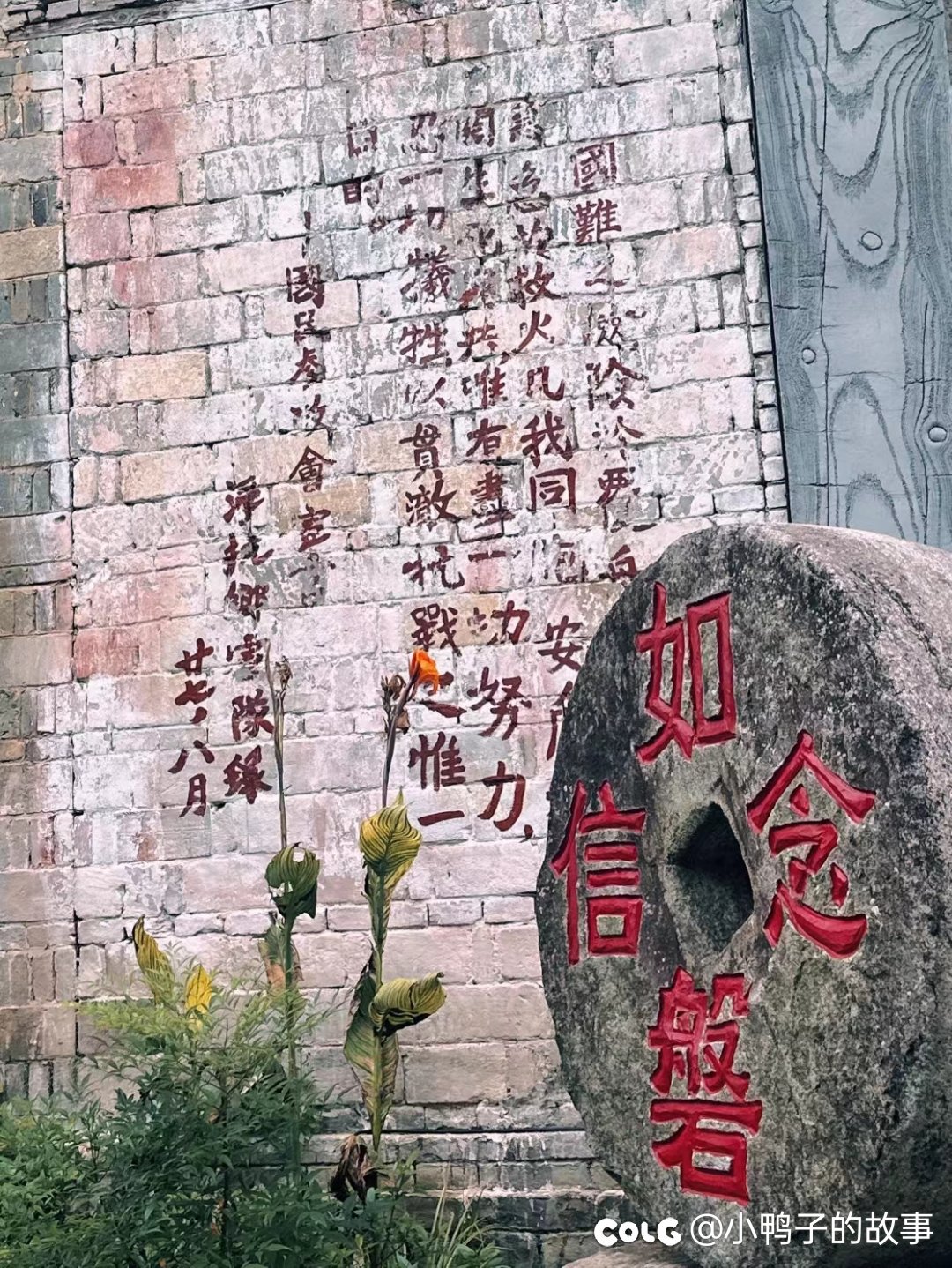 鬼混完回来，可算是开学了1