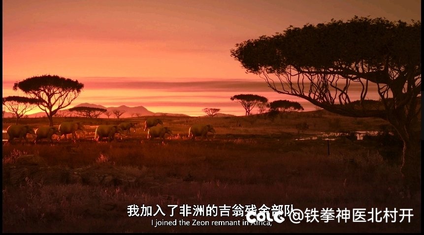 该说不愧是美国老白男编剧？4