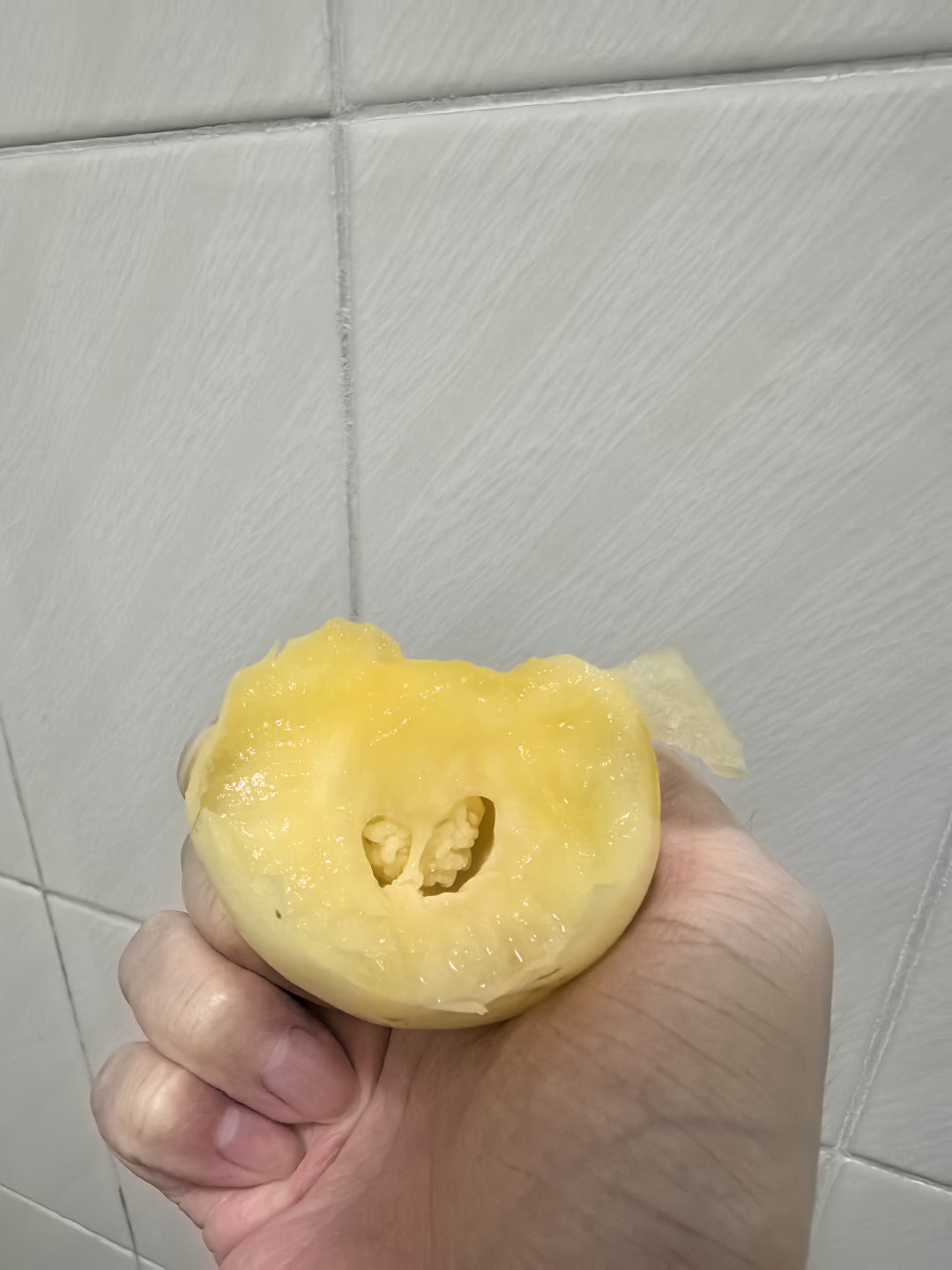第一次吃人参果1