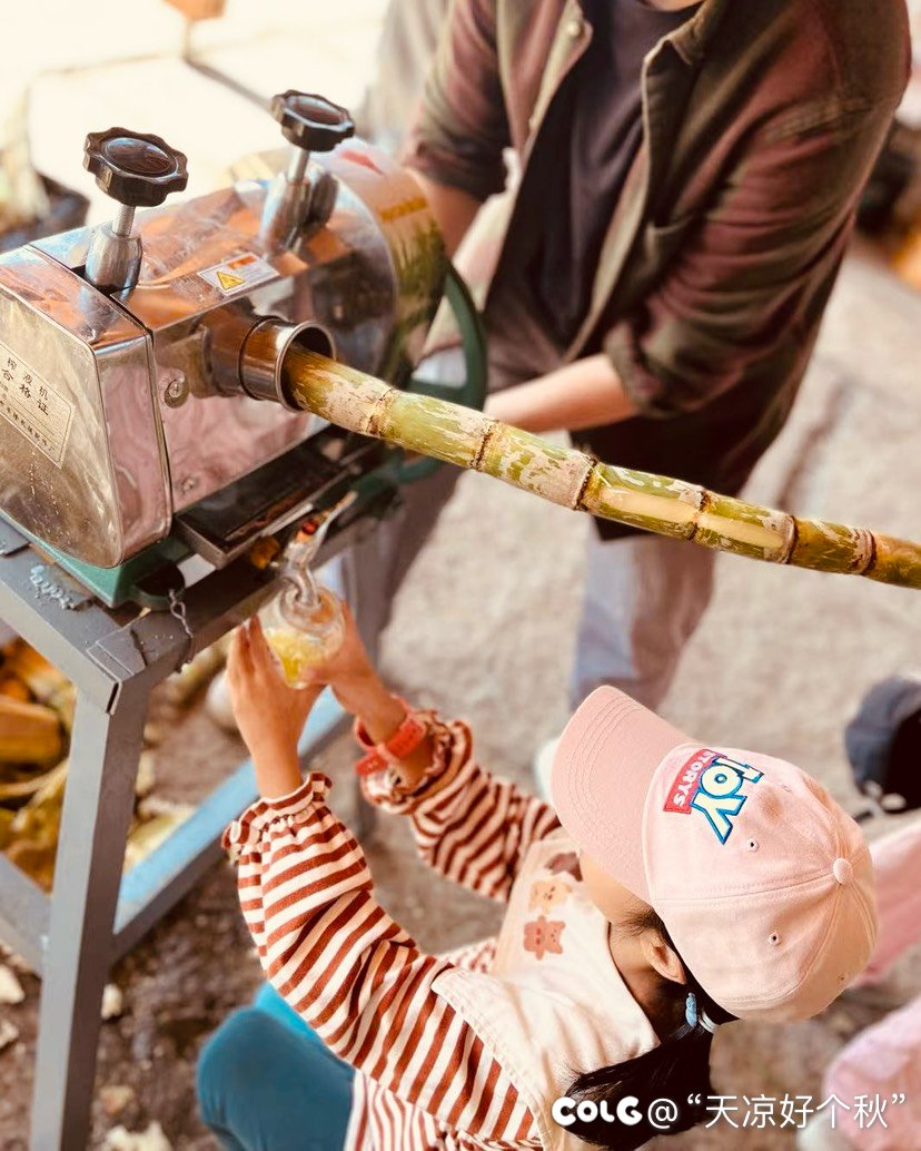 披萨当然是现烤的才好吃7