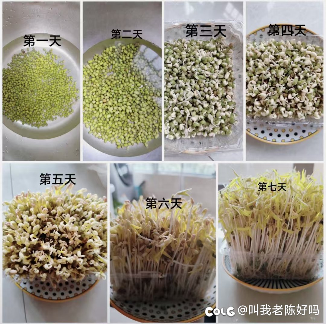 也是挺无聊的1