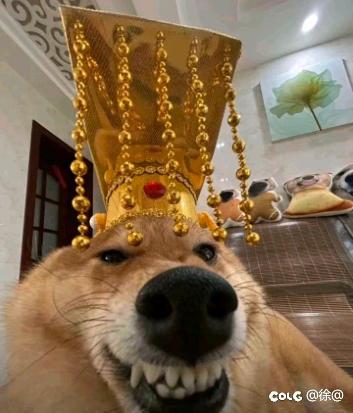 跨五小团体1