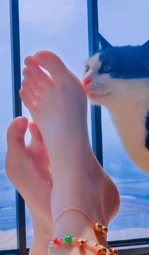 秃然的自我10
