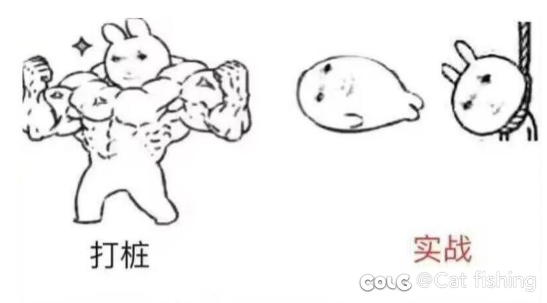 今天想摸点白海币，打个幽暗岛给我自己整笑了3