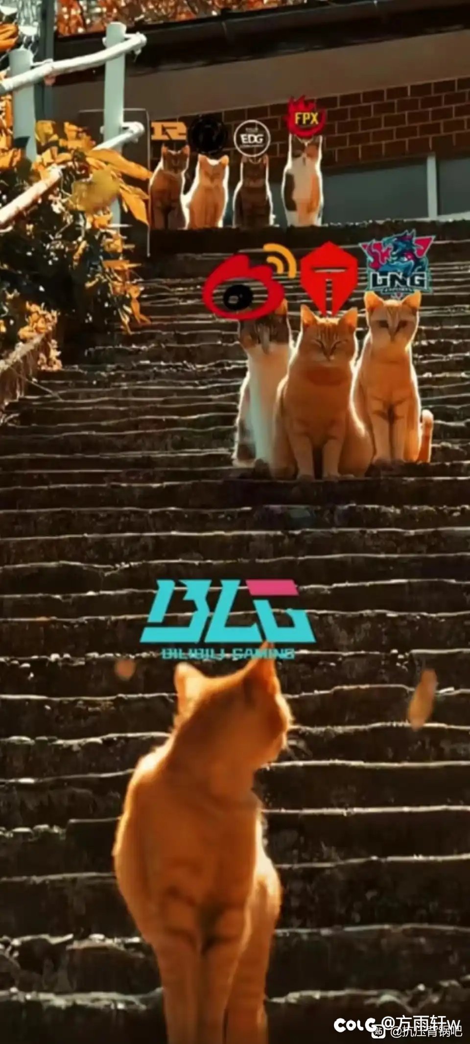 十年韩杂，给最后的全华班BLG加油！1